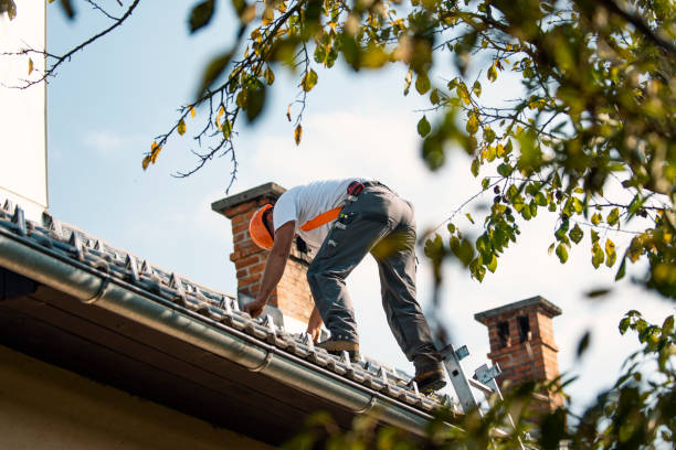 Best Flat Roof Repair Services  in Clarkson Valley, MO